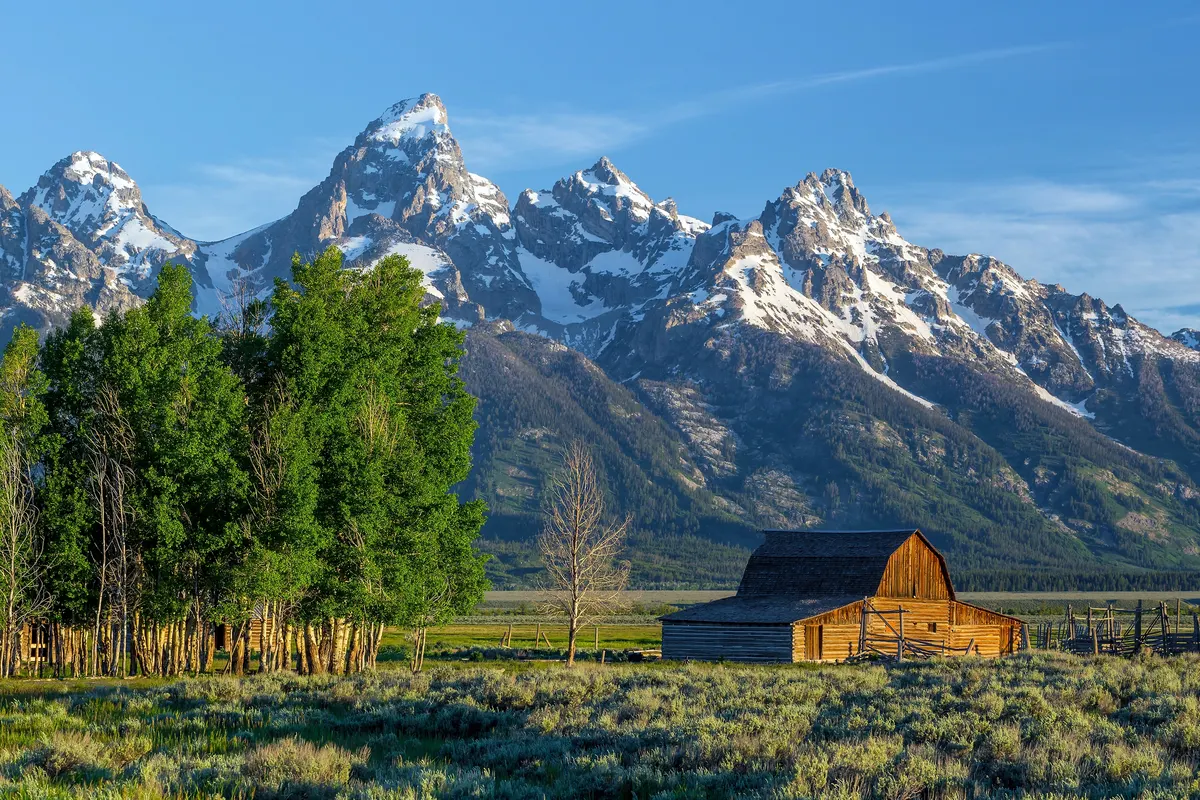A view in Grand Teton National Park
