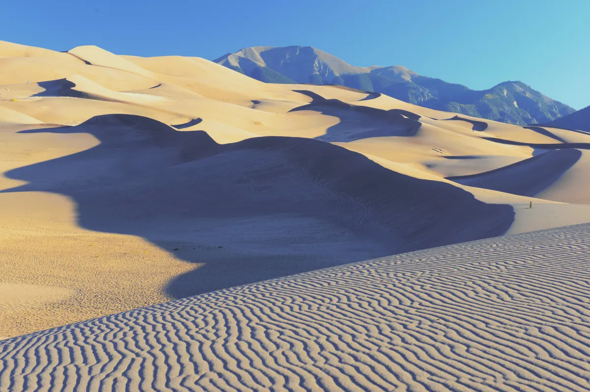 A view in Great Sand Dunes National Park & Preserve