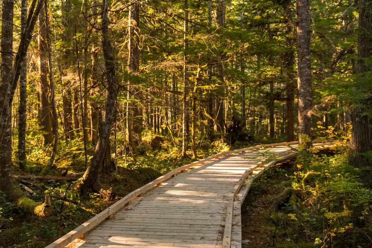 A view in North Cascades National Park
