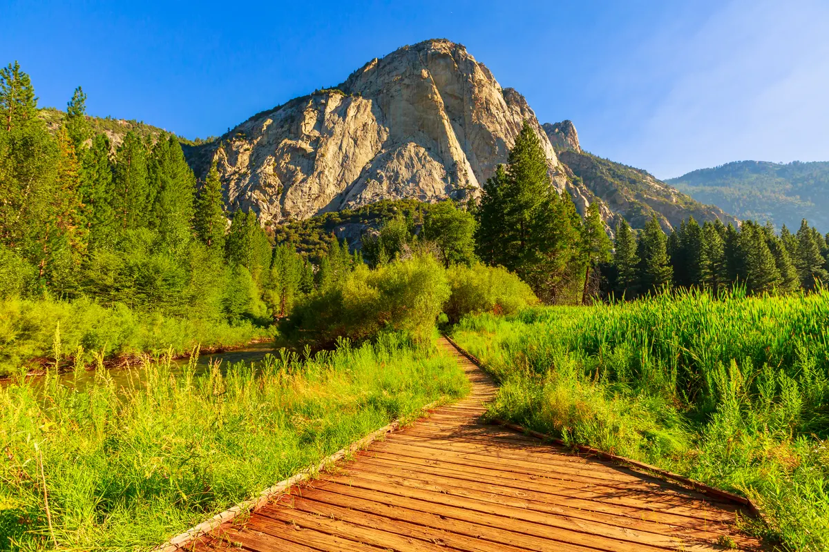 A view in Sequoia & Kings Canyon National Parks