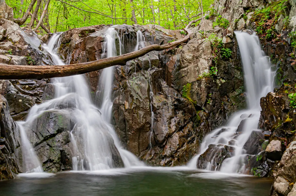 A view in Shenandoah National Park