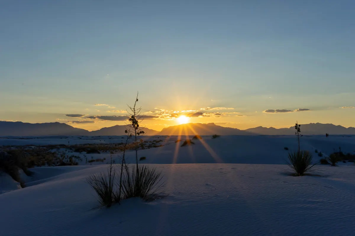 A view in White Sands National Park